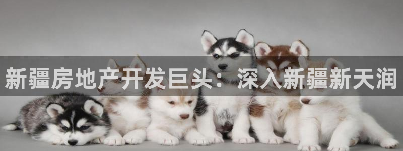 万向娱乐官网网址是多少