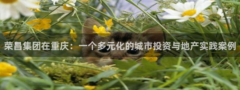 万向娱乐平台代理怎么做赚钱
