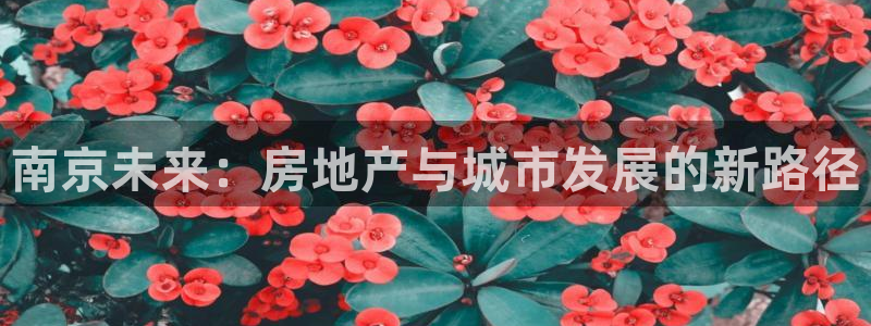 万向娱乐老板