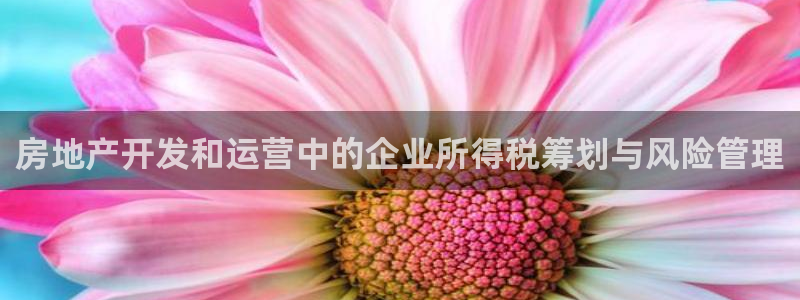 万向娱乐代理好看视频是真的吗