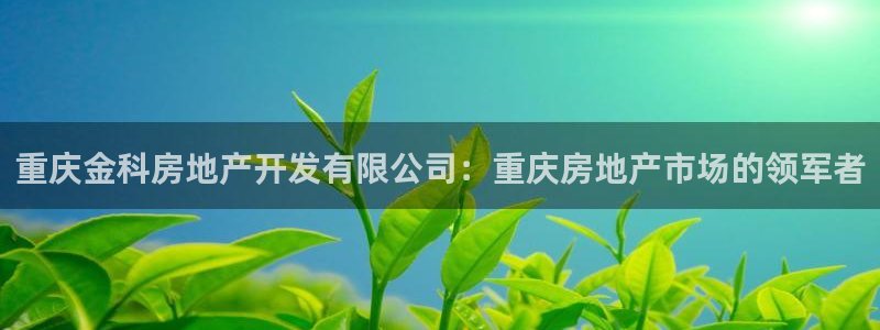 万向娱乐是野鸡台吗