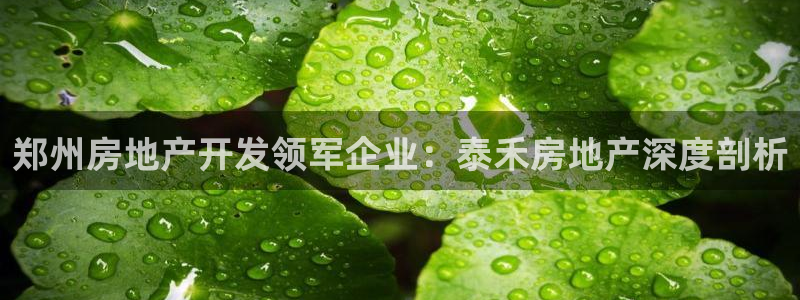 万向娱乐app下载官网