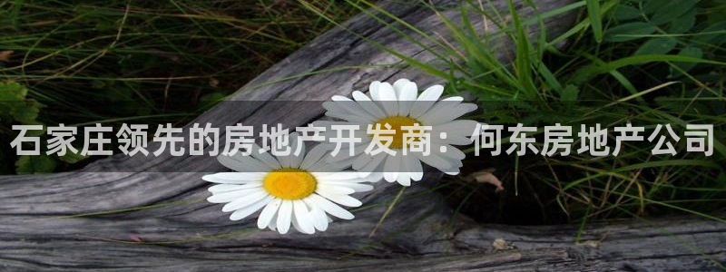 万向娱乐