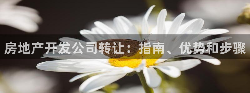 万向娱乐下载安装
