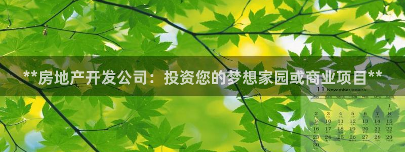 万向娱乐