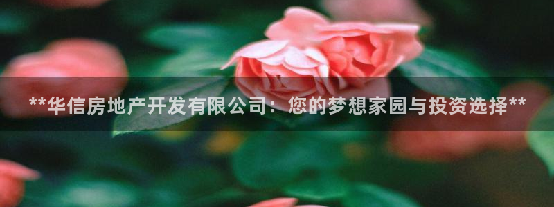 万向娱乐官网网址