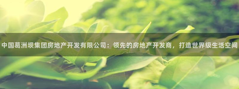 万向娱乐平台代理