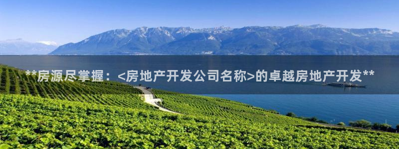 万向娱乐老板