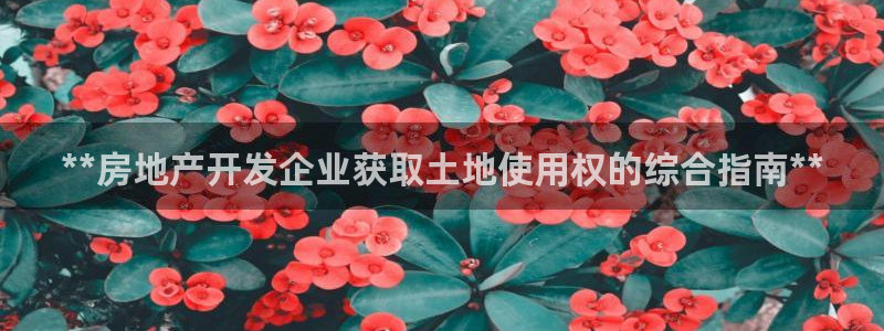 万向娱乐官网网址是多少