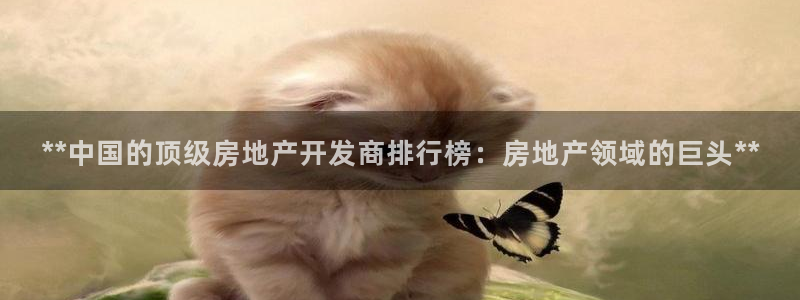 万向娱乐的联系方式有哪些