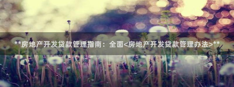 万向娱乐官网网址是什么