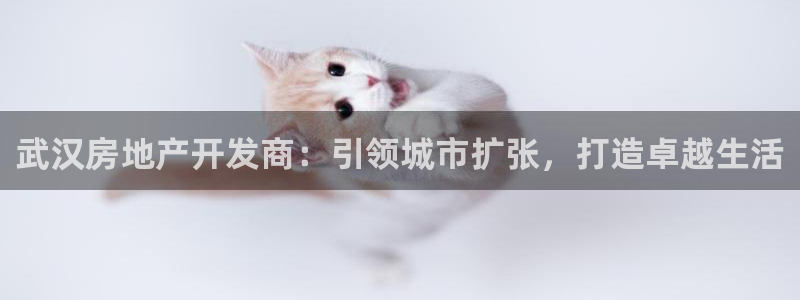 万向娱乐登陆