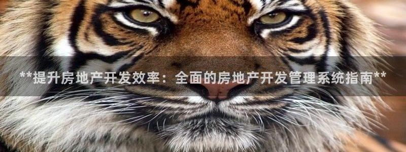 万向娱乐公司官网电话