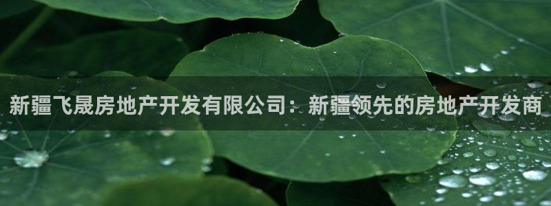 万向娱乐挂机软件