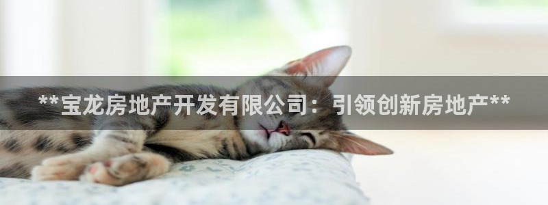 万向娱乐