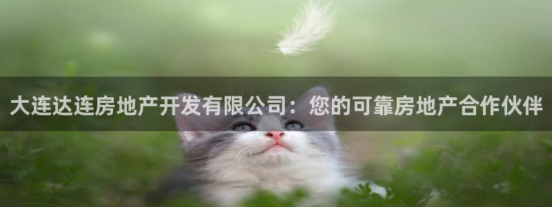 万向娱乐平台代理多少钱一年