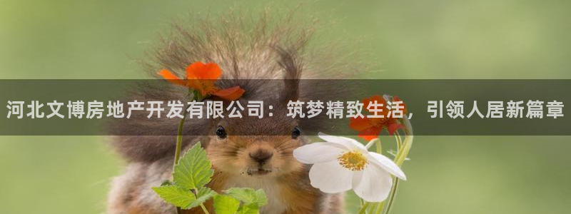 万向娱乐是野鸡台吗