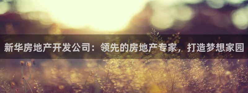 万向娱乐技术分享