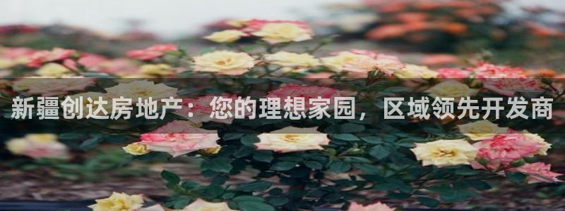 万向娱乐官网网址