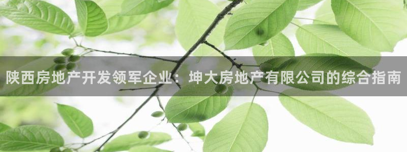 万向娱乐怎么样
