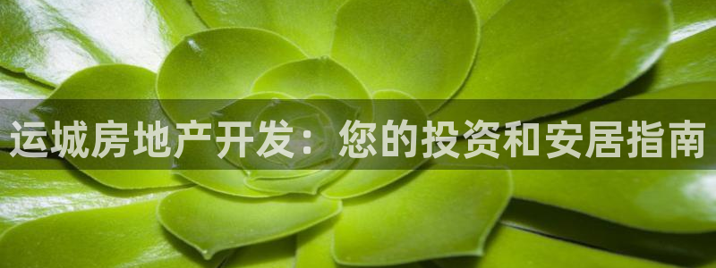 万向娱乐app下载
